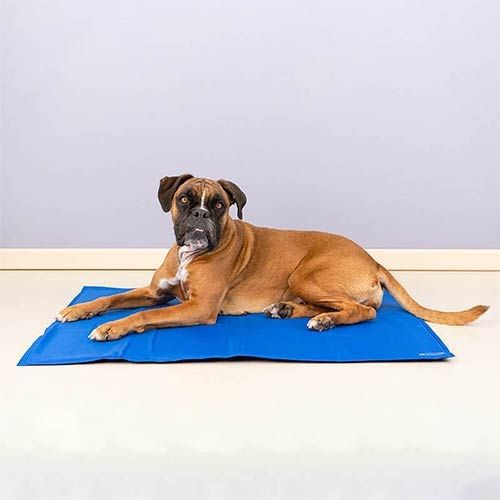 Alfombra refrescante para perros