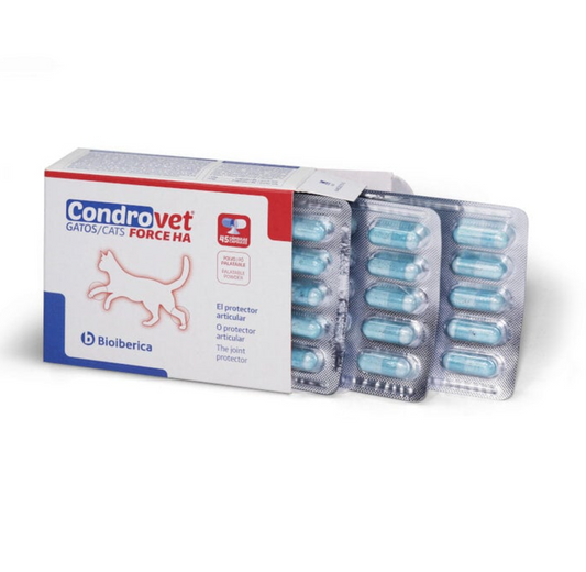 Condroprotector gatos Condrovet Force HA