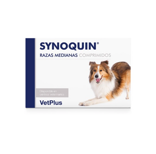 Condroprotector razas medianas Synoquin