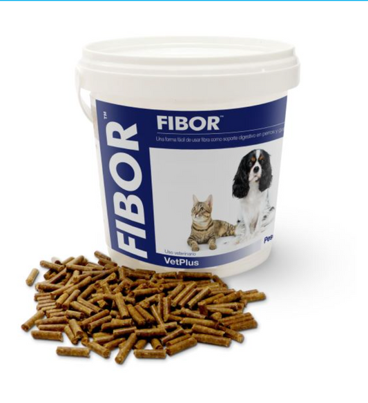 Suplemento para problemas digestivos en perros y gatos Fibor